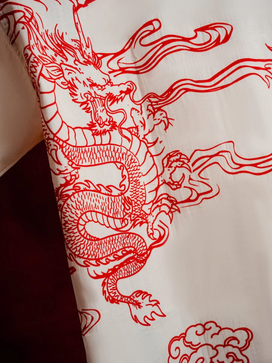 Dragon - Image 4