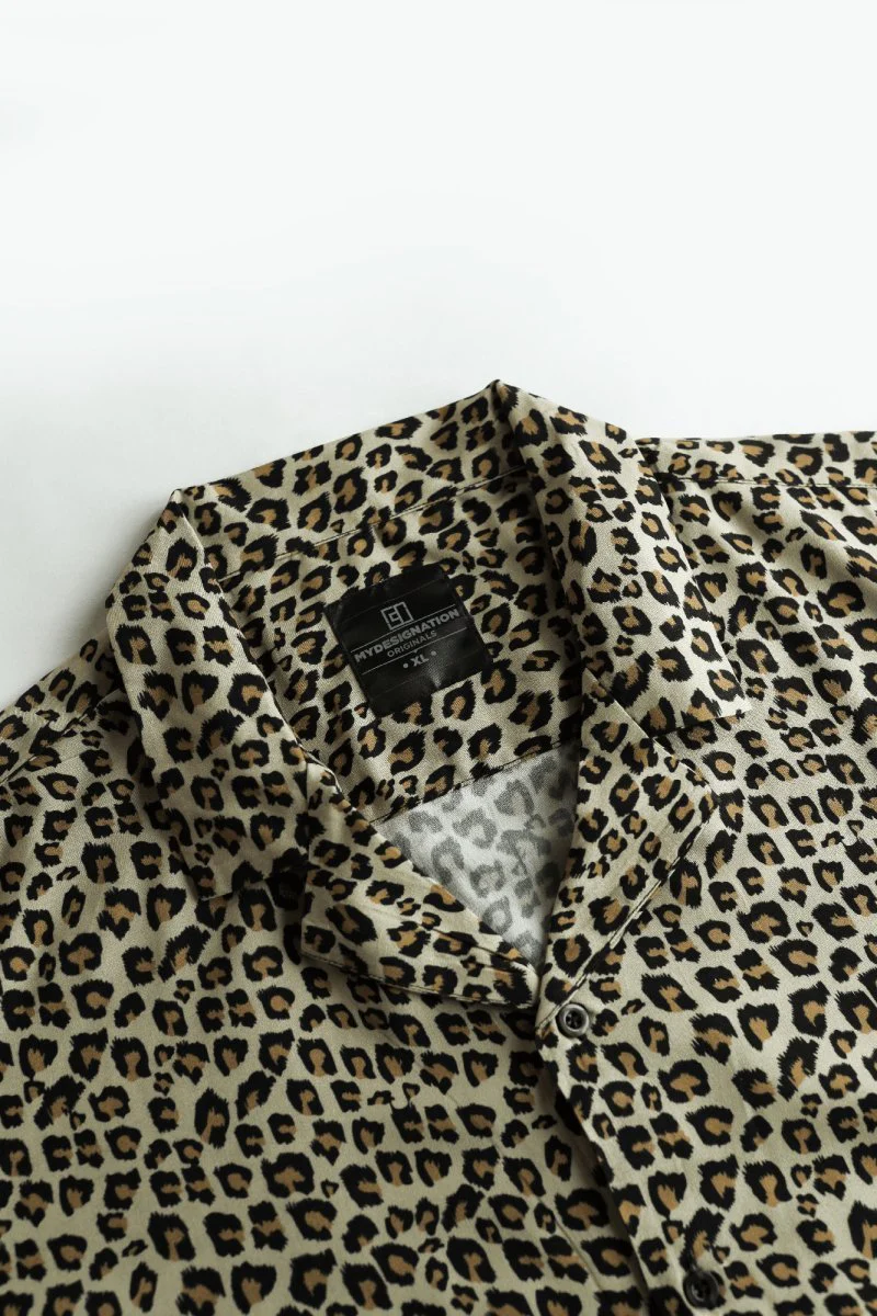 Leopard - Image 4
