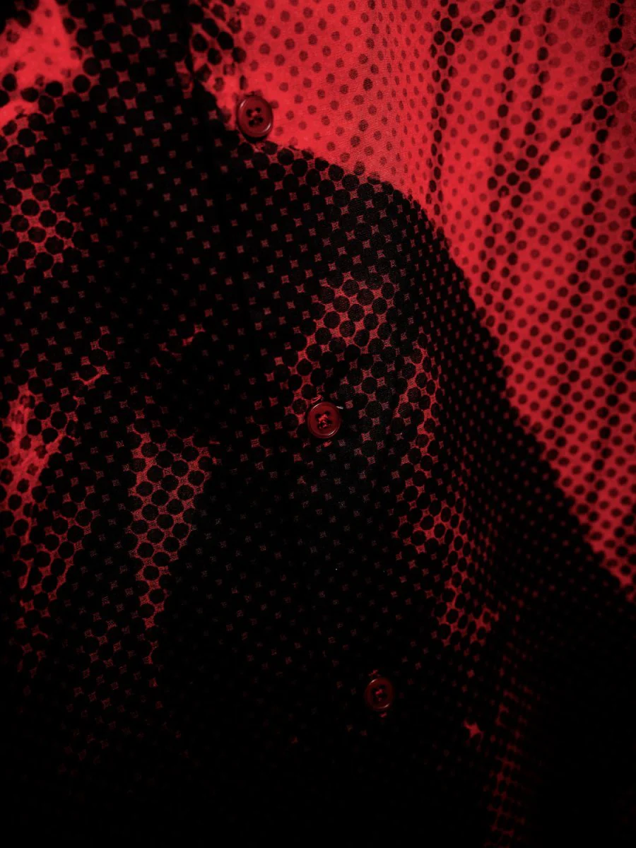 Pirate - Image 2