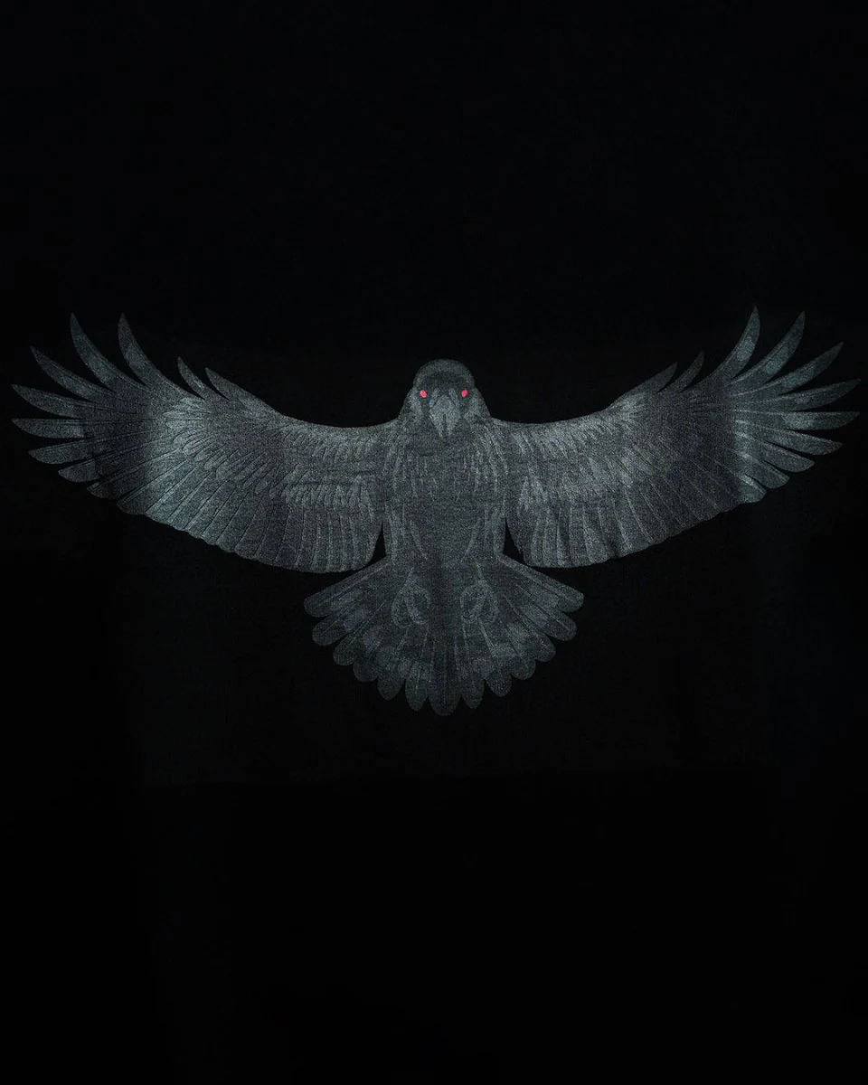 Raven - Image 4