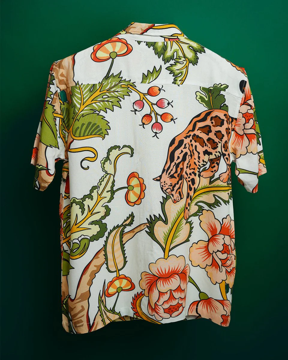 Safari - Image 6