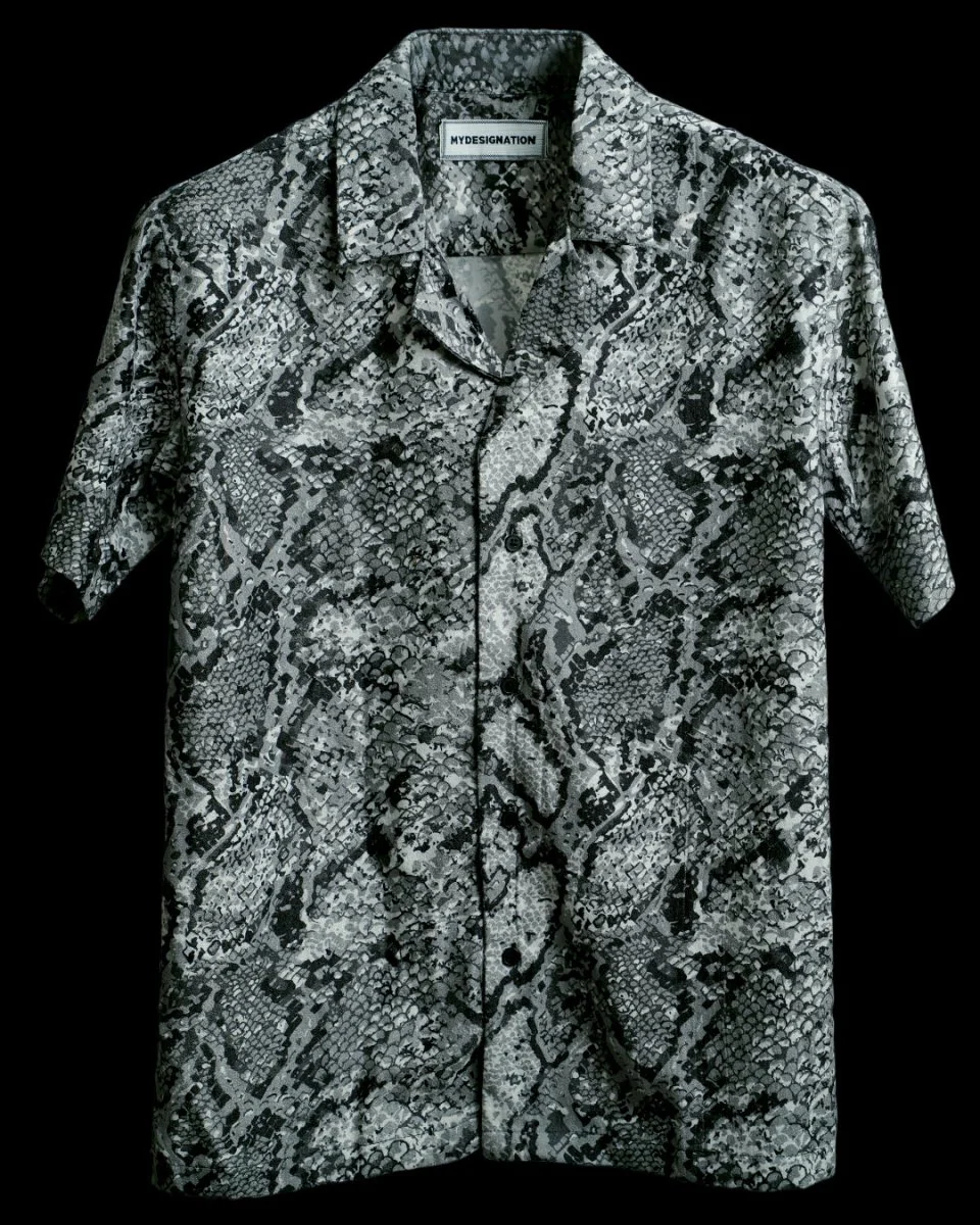 Snake - Image 2