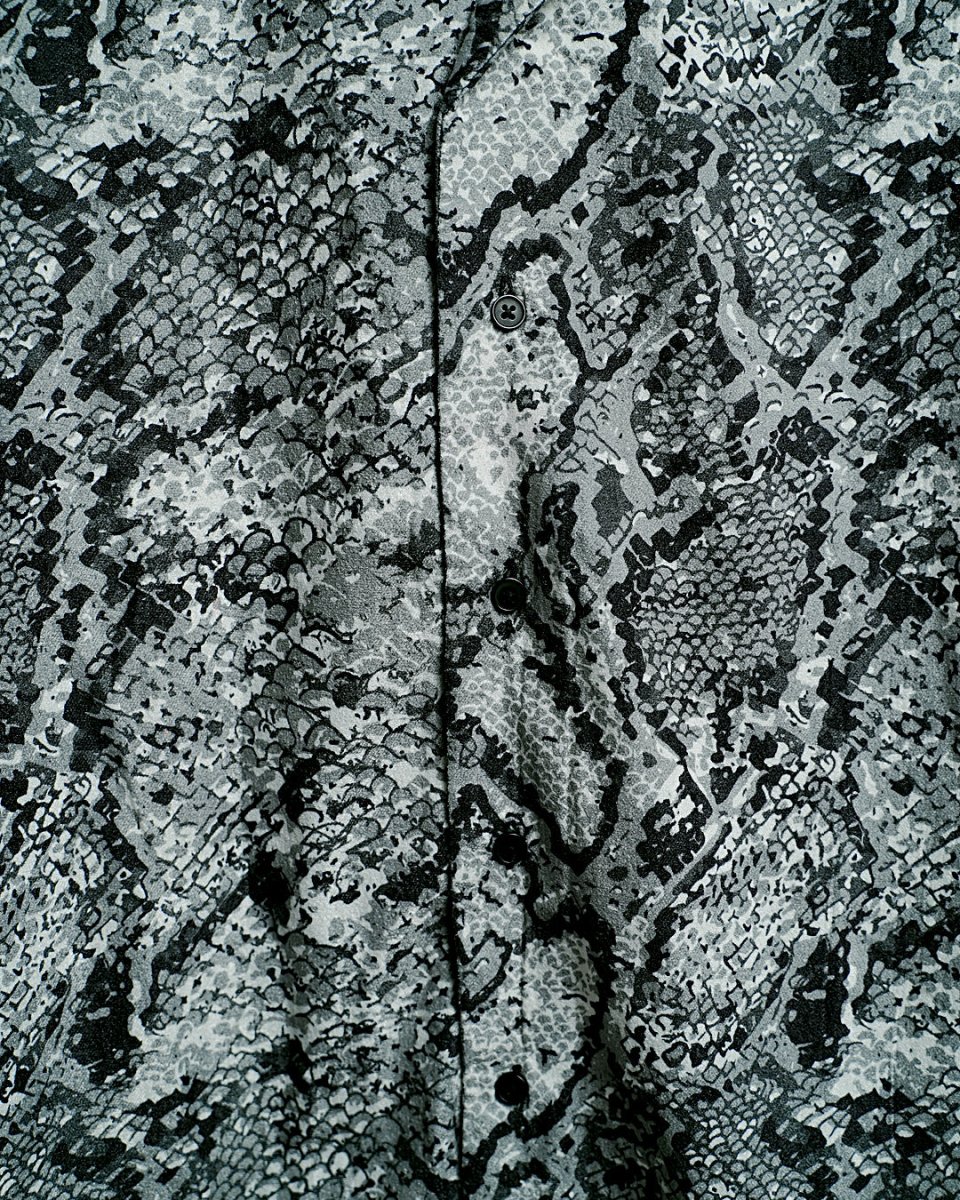 Snake - Image 3